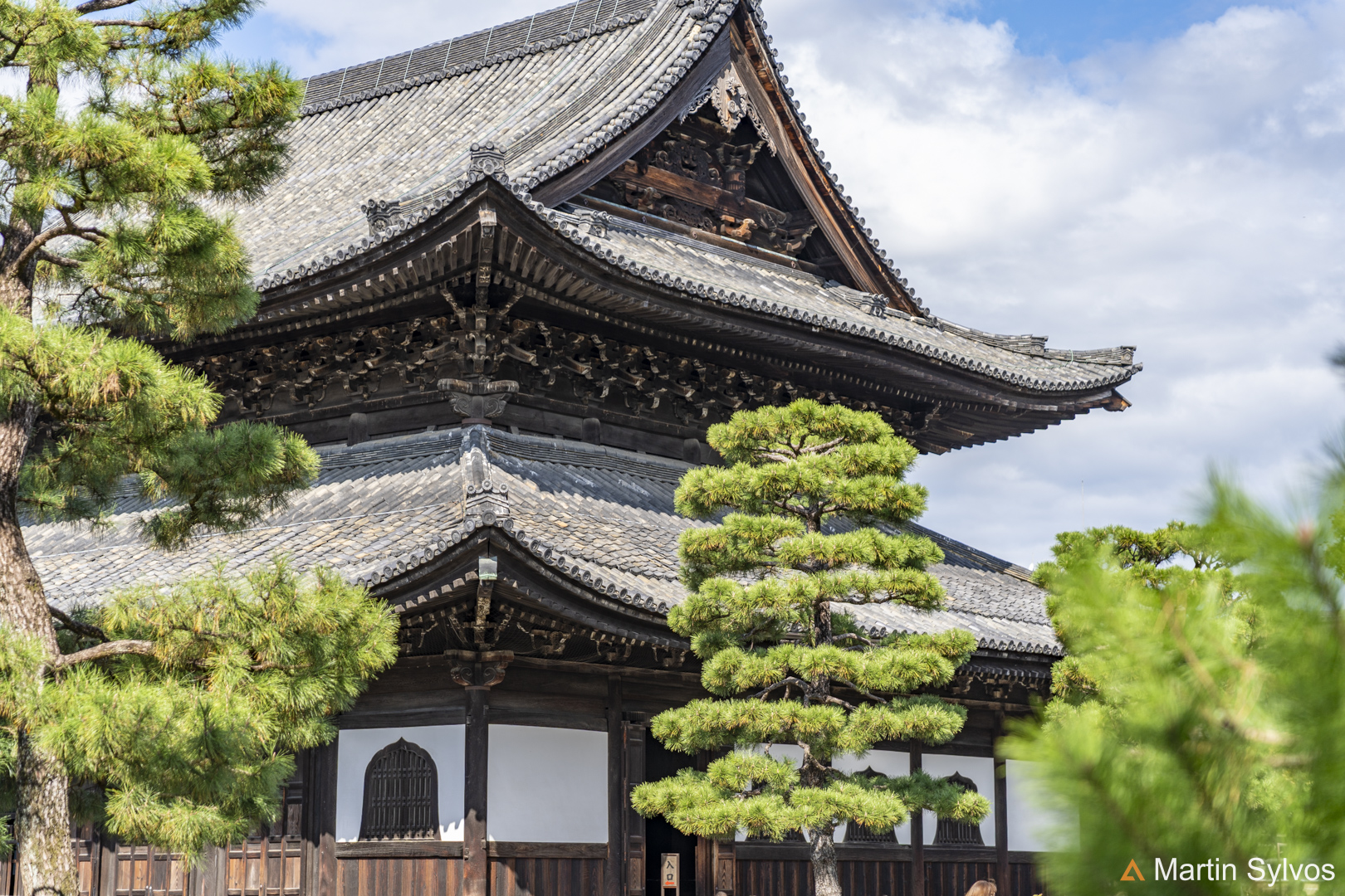 2025 Japon martin sylvos 25